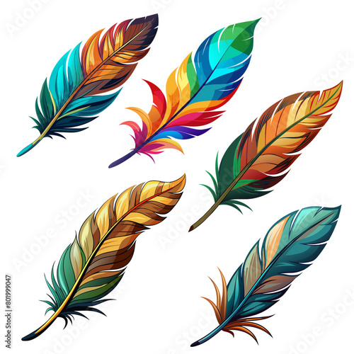 Set of colorfu birdl feather on white background