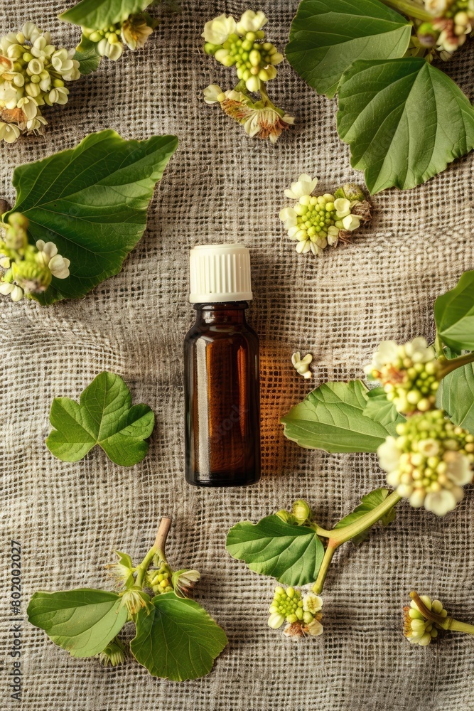 linden essential oil on burlap background linden essential oil on burlap background