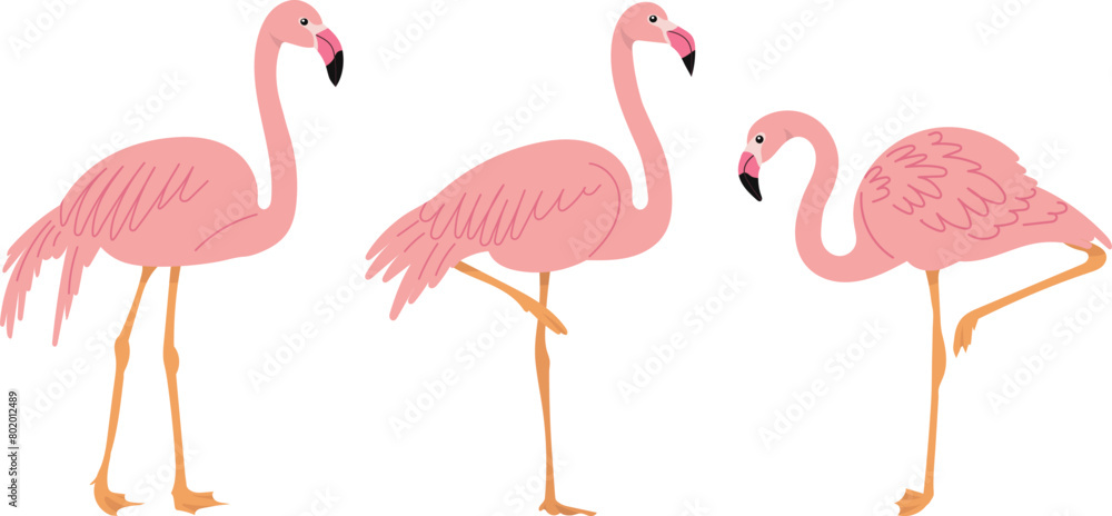 Naklejka premium flamingo pink in flat style on white background vector
