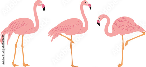 flamingo pink in flat style on white background vector © zolotons
