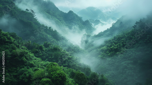 A lush green forest with a misty, foggy atmosphere © ART IS AN EXPLOSION.