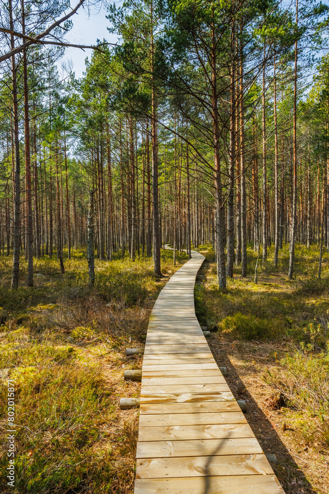 Viru Bog Viru Raba peat swamp, Estonia Viru Bog Viru Raba peat swamp, Estonia