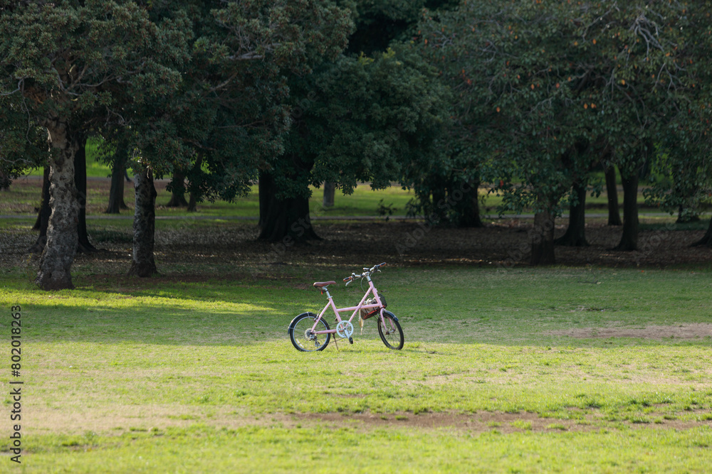公園に止めてある自転車 公園に止めてある自転車