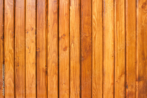 Background from wooden panels © Elena