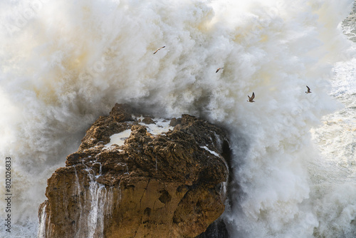 Big wave exploding on seaside rock with seagulls in Nazaré, Portugal