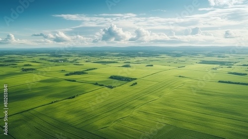 Aerial view of green summer farm fields, crops or pasture with during summer day