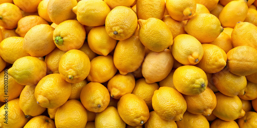 f circular lemons 