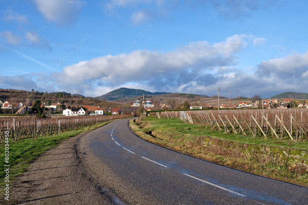 Alsace, December: view of Vineyards at Chateau de Kaysersberg