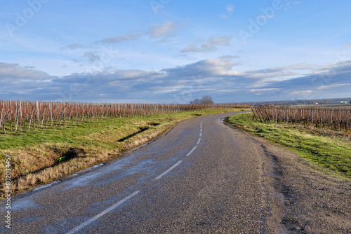 Alsace  December  view of Vineyards at Chateau de Kaysersberg