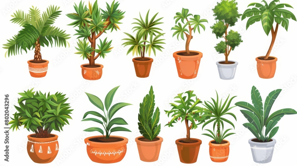 Domestic tropical decorative palms, houseplants in ceramic and wood pots for interior decor isolated graphic design elements.