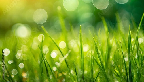 Gras im Vordergrund, im Hintergrund bokeh mit freundlichen hellen farben 