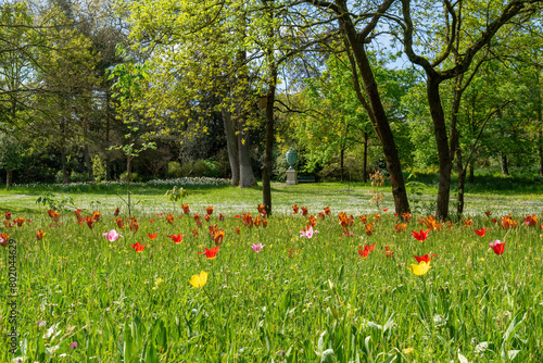 Flowers in the Bagatelle Park at springtime. It is located in Boulogne-Billancourt near Paris, France