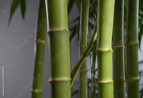 A close-up view of a bamboo shoot, its smooth green stalk segmented by lighter joints, contrasting with the vibrant green leaves surrounding it, generative AI