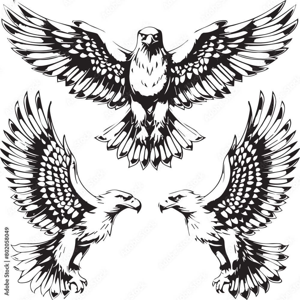 Obraz premium eagle with wings