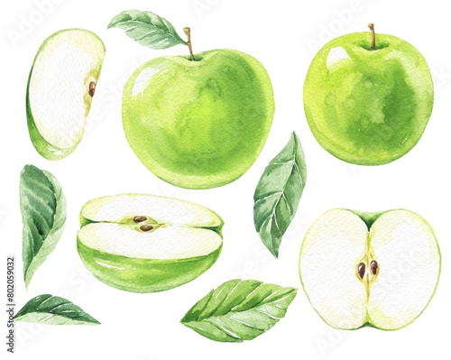 Green apple watercolour food illustration  (ID: 802059032)