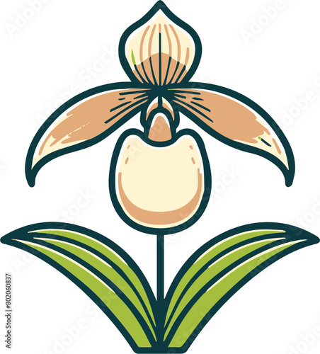 A simple line drawing of a lady slipper orchid.