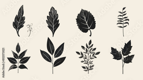 leafs plant set vintage icons Vectot style vector design