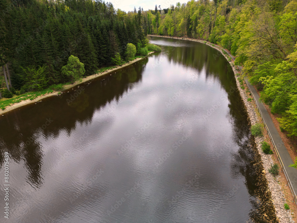 Secluded Nature: Serene Lakeside Road with Cliff and Forest Secluded Nature: Serene Lakeside Road with Cliff and Forest