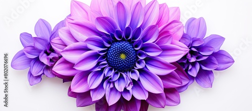 Purple flower with blue center on white background