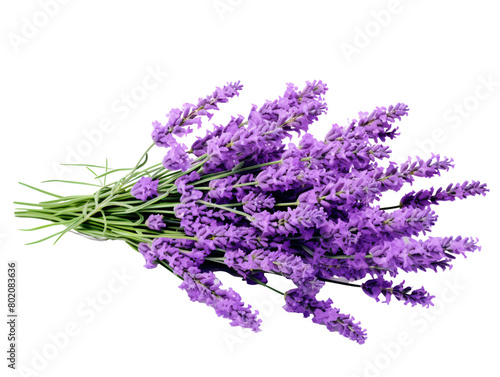a bunch of purple flowers