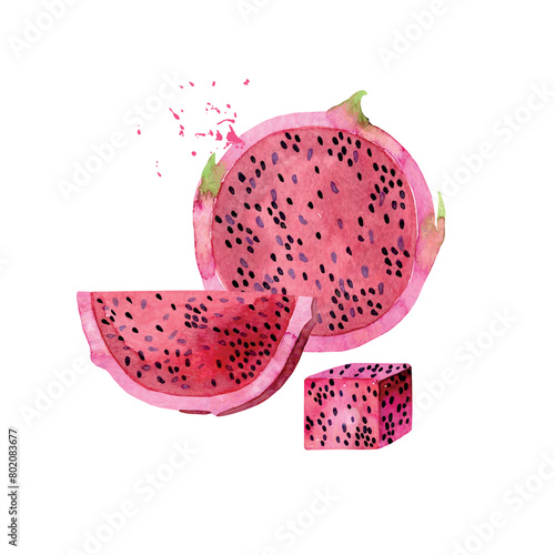 Hand Drawn Watercolor pitaya Fruit. Vector illustration. (ID: 802083677)