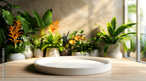 White Round Tray with Tropical Plants in Background  © Creative Valley