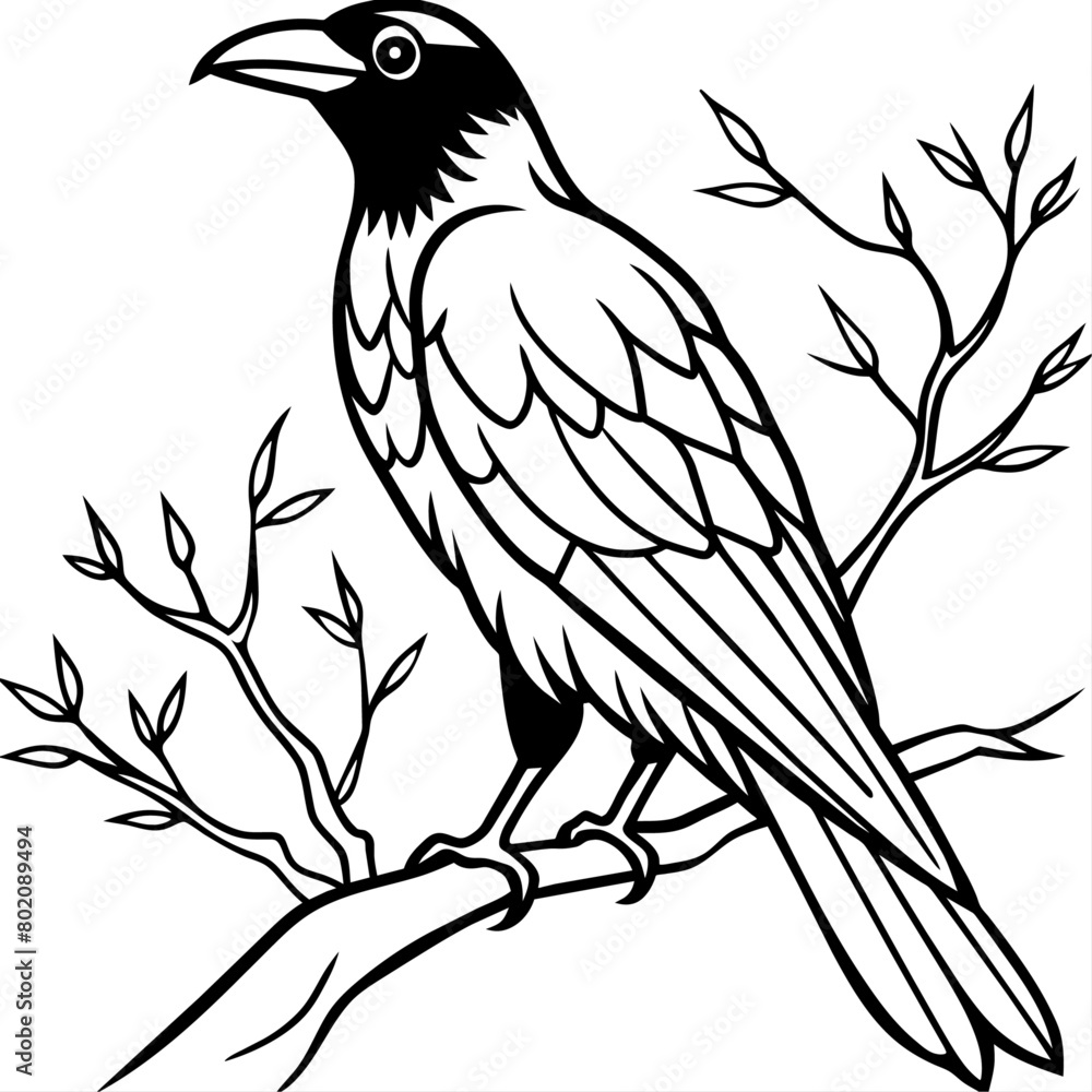 Crow coloring book page vector art illustration (5)