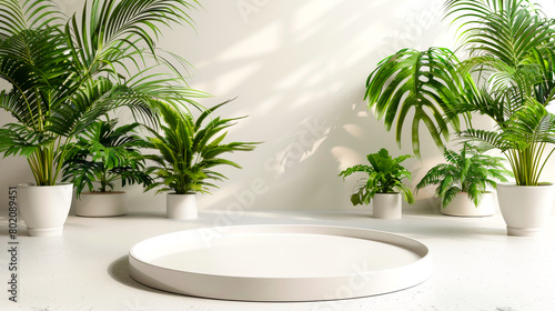 Modern Home Decor with White Tray and Tropical Plants 