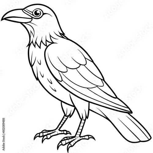 Crow coloring book page vector art illustration  4 