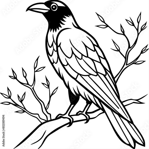 Crow coloring book page vector art illustration (5) © Dream Is Power