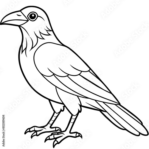 Crow coloring book page vector art illustration (28)