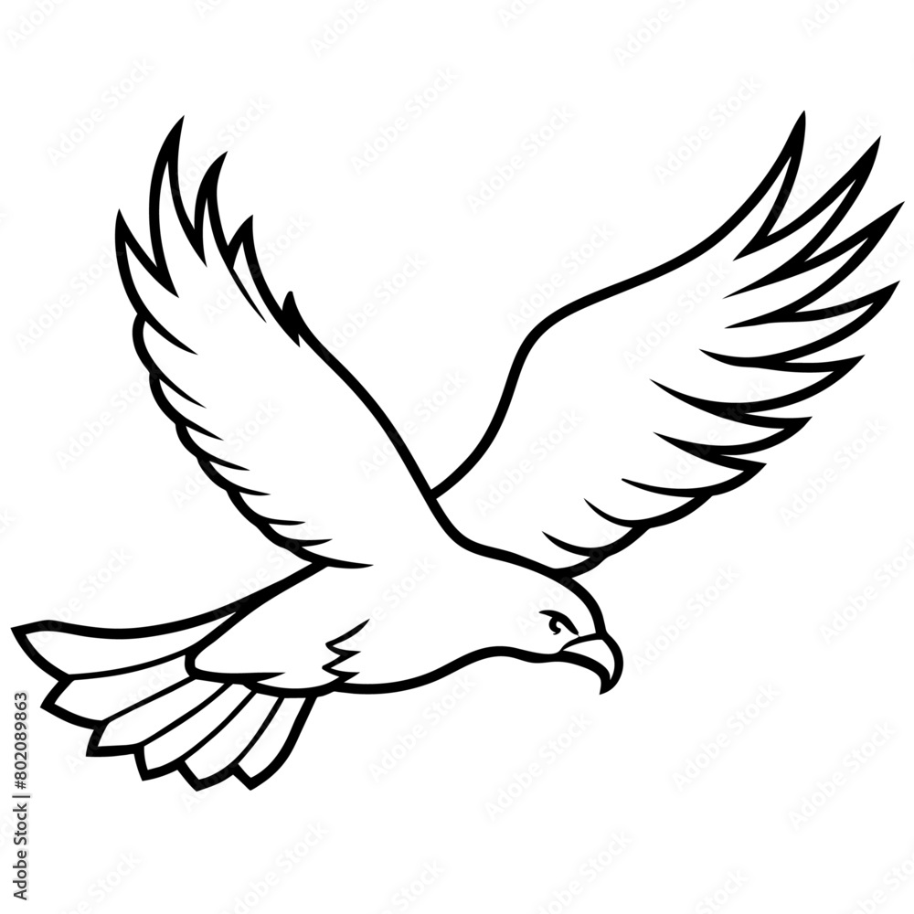 Eagle Coloring book page illustration (13) Eagle Coloring book page illustration (13)