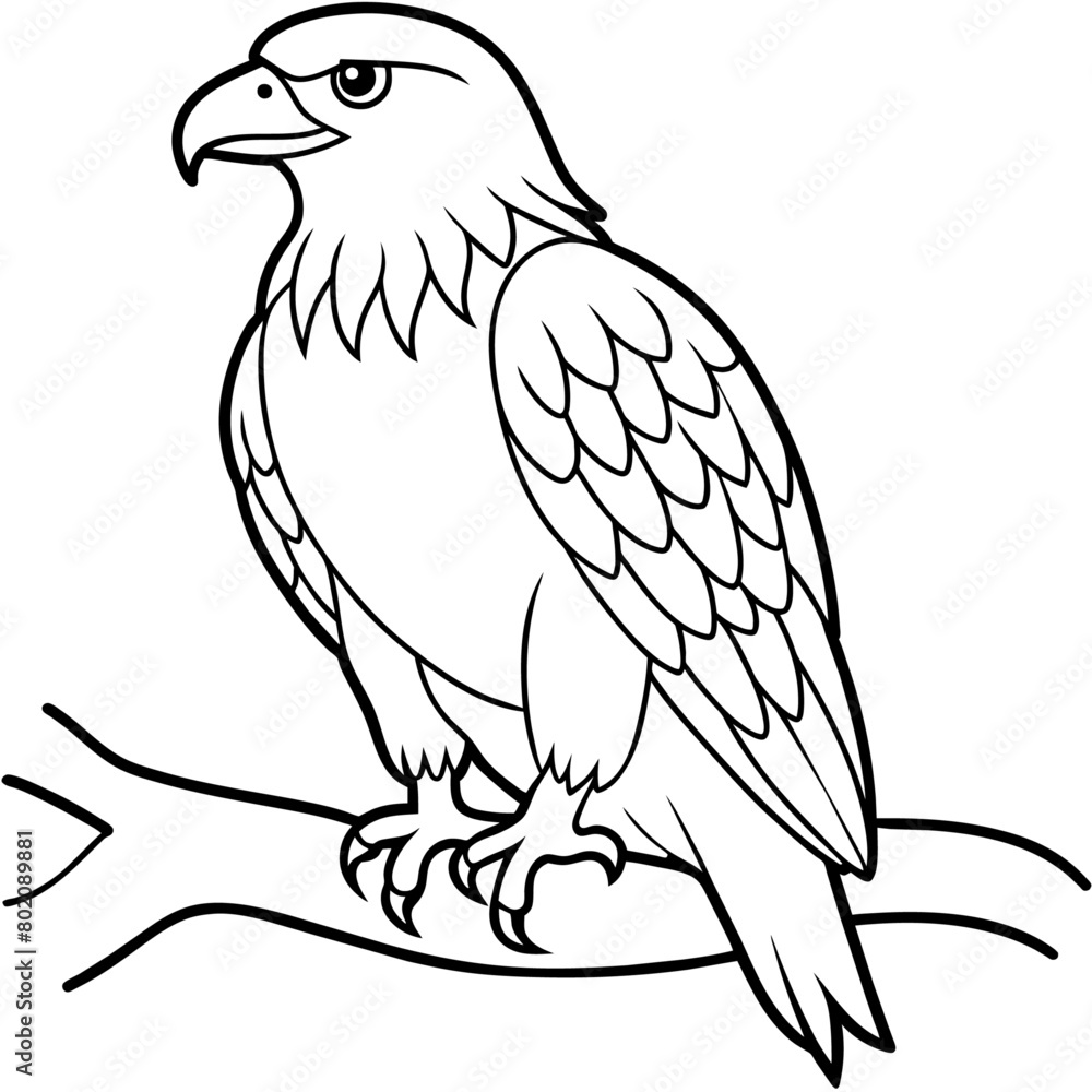 Fototapeta premium Eagle Coloring book page illustration (18)
