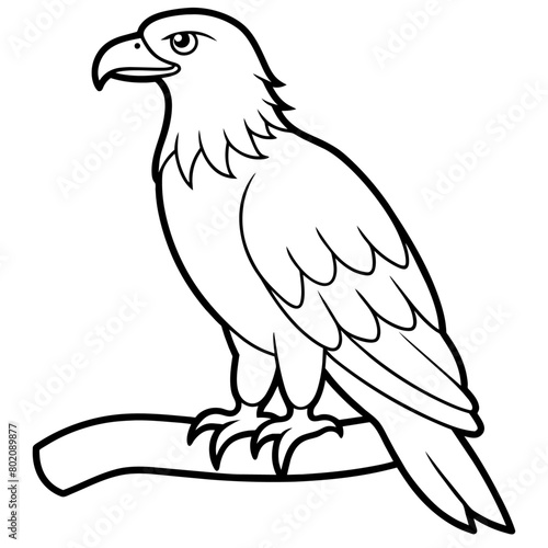 Eagle Coloring book page illustration (19)