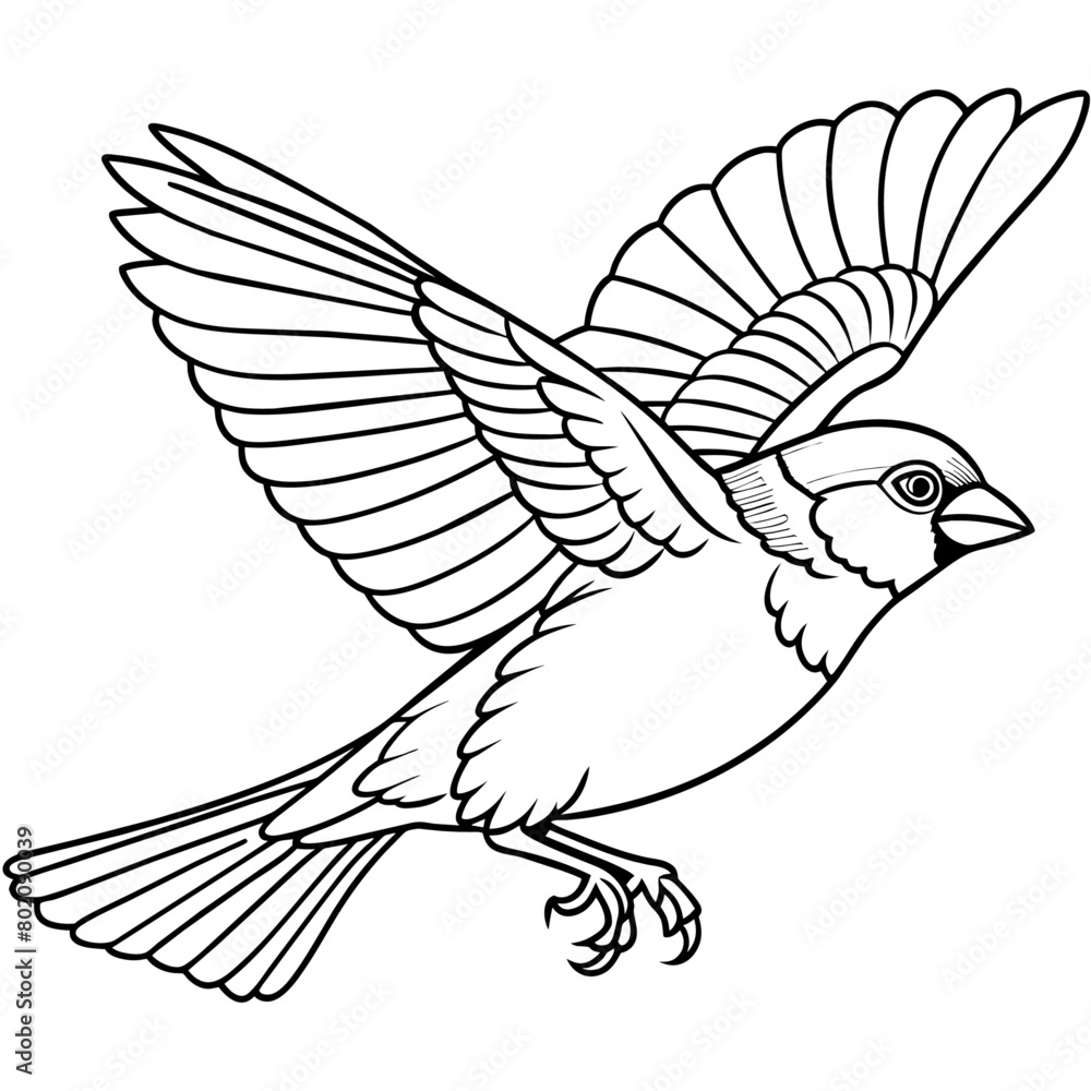 Obraz premium finch bird coloring book page vector (11)