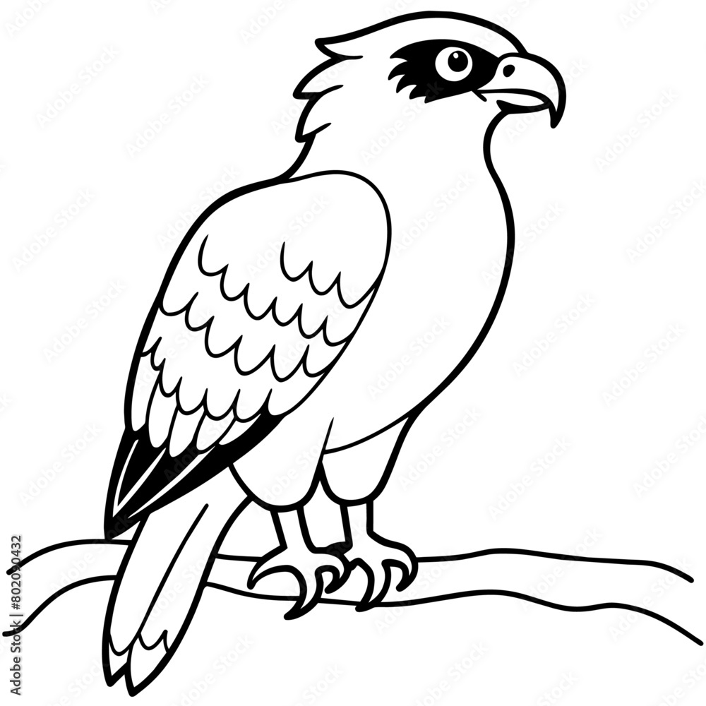osprey bird oloring book page vector art illustration, solid white background (2) osprey bird oloring book page vector art illustration, solid white background (2)