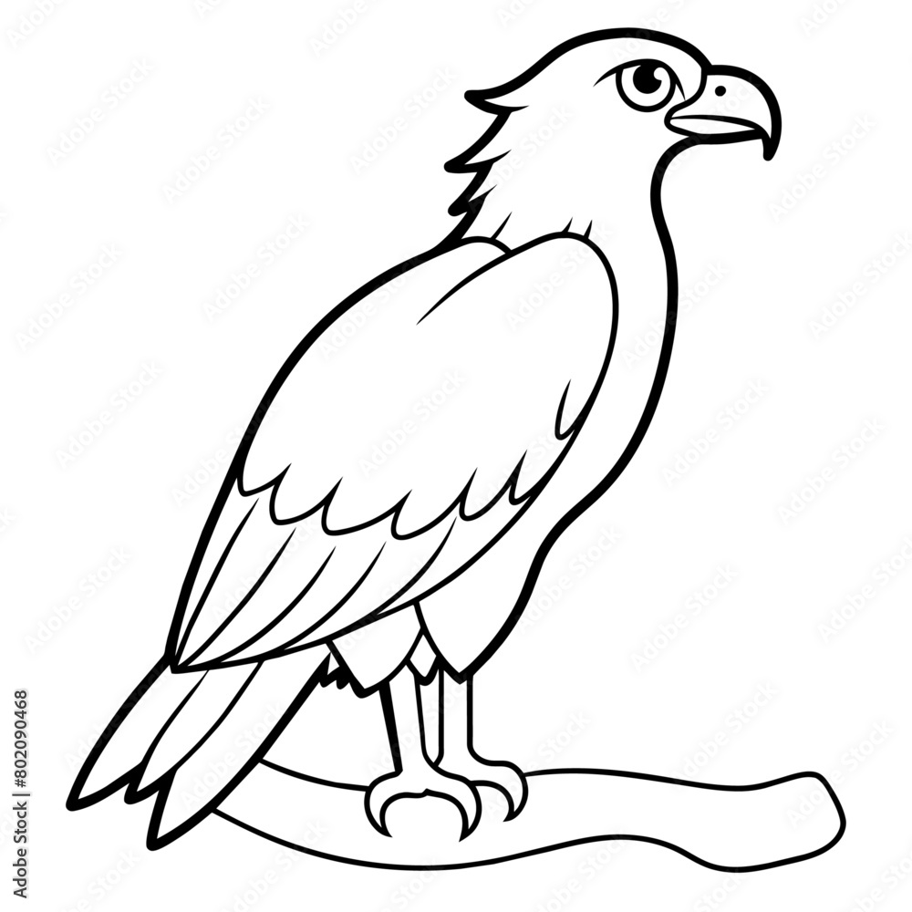 osprey bird oloring book page vector art illustration, solid white background (7)