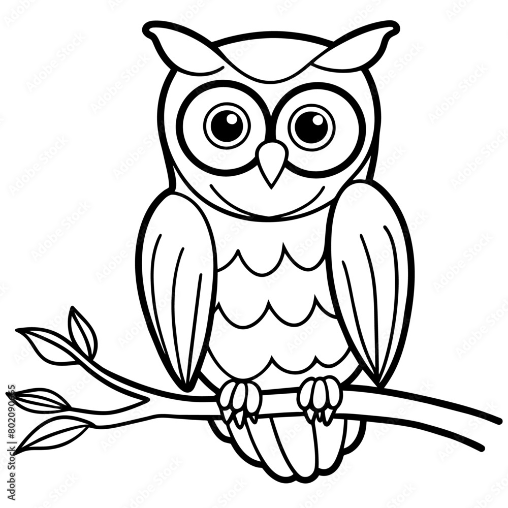Fototapeta premium owl coloring book page (18)