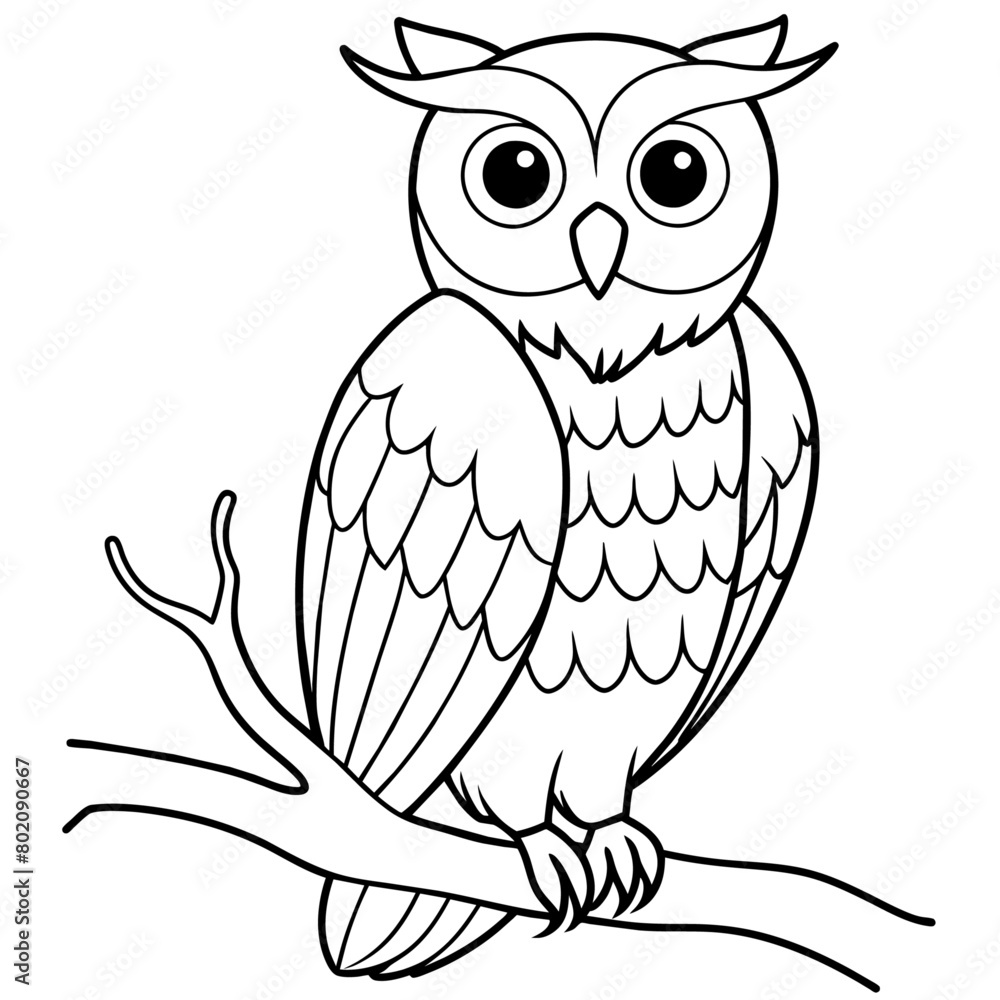 owl coloring book page (19) owl coloring book page (19)