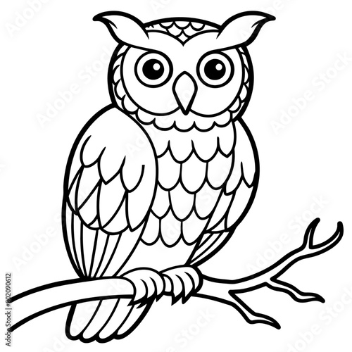 owl coloring book page  9 