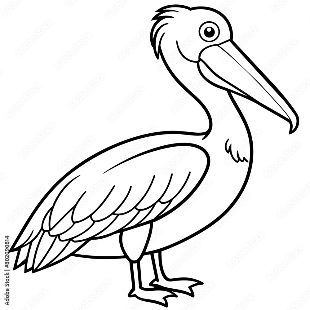 Obraz premium pelican bird coloring book page vector illustration (15)