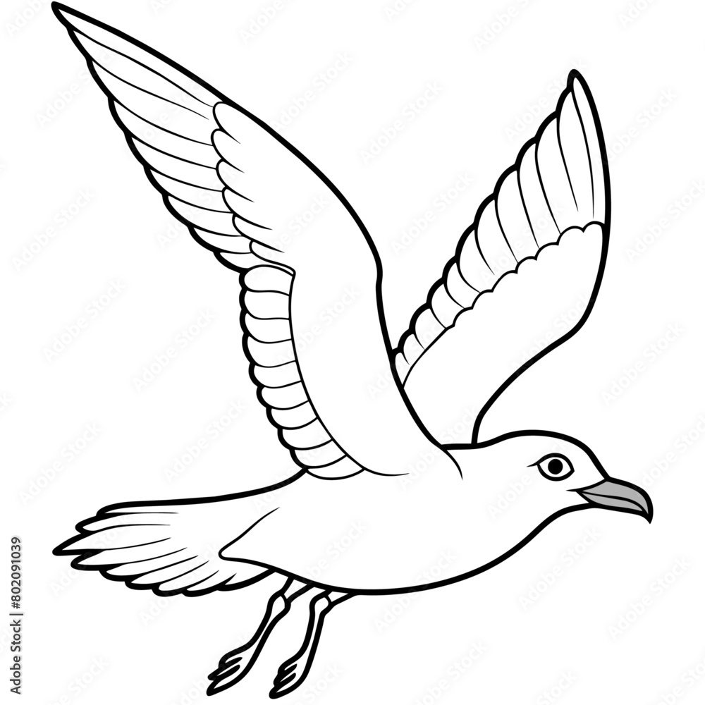 Obraz premium seagull bird Coloring book vector art illustration (10)