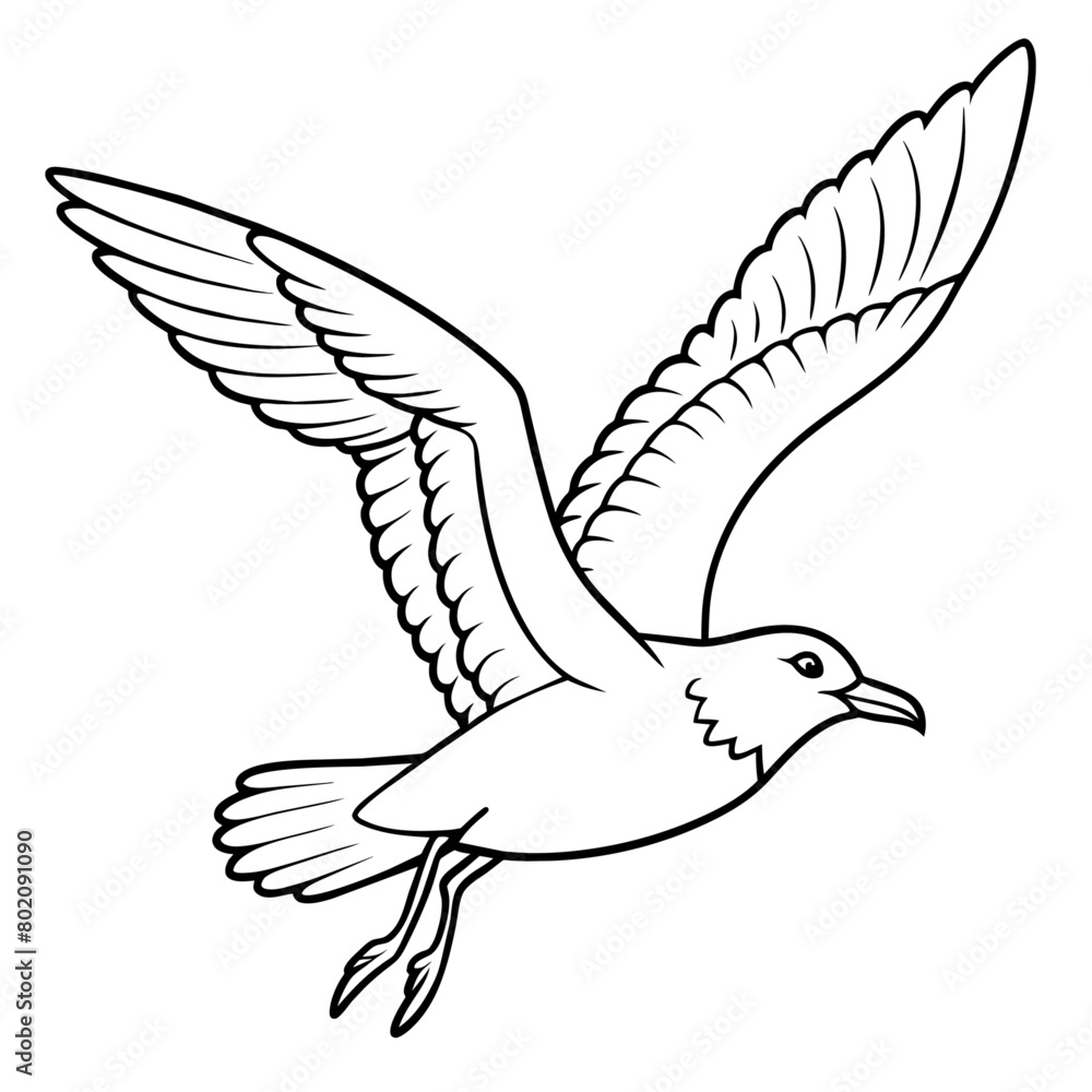 Fototapeta premium seagull bird Coloring book vector art illustration (15)