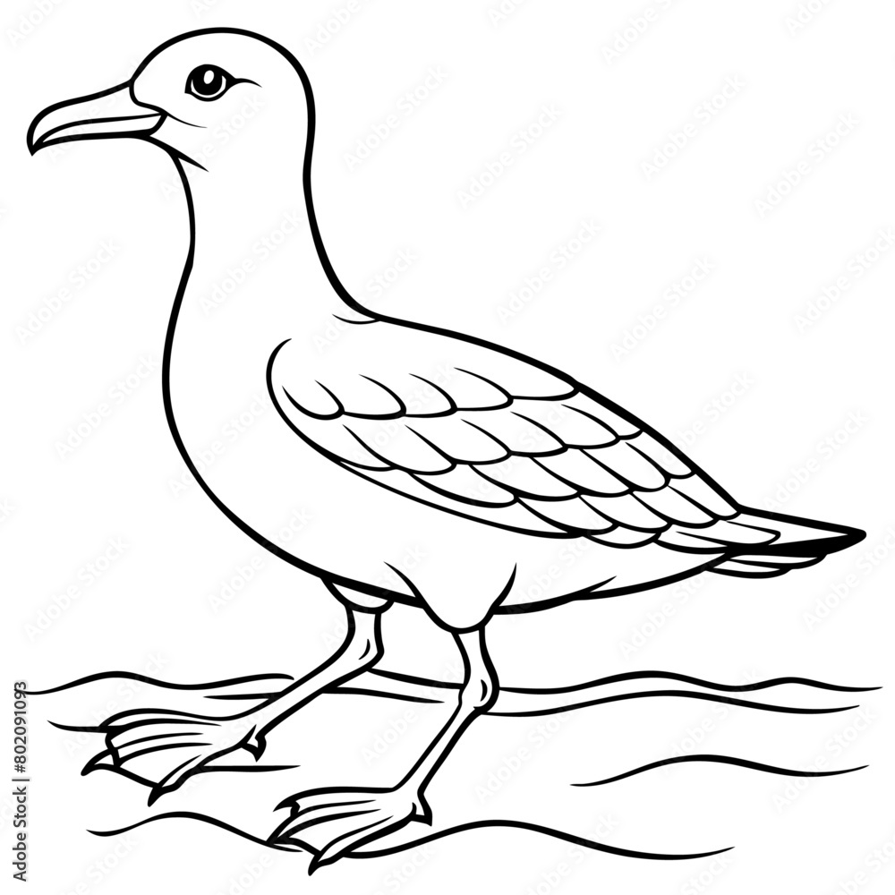 Obraz premium seagull bird Coloring book vector art illustration (18)