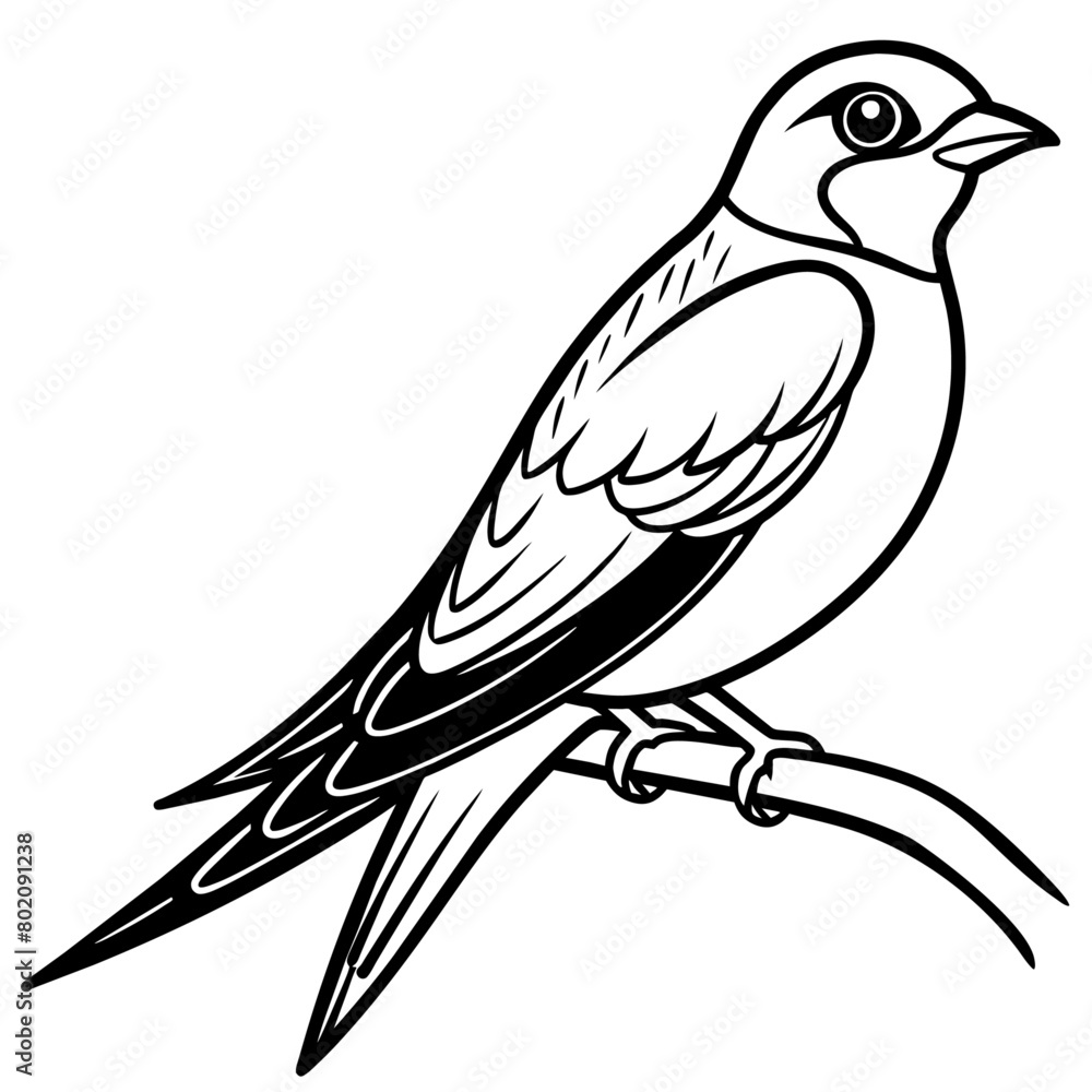 Obraz premium swallow bird coloring book page vector art illustration, solid white background (19)