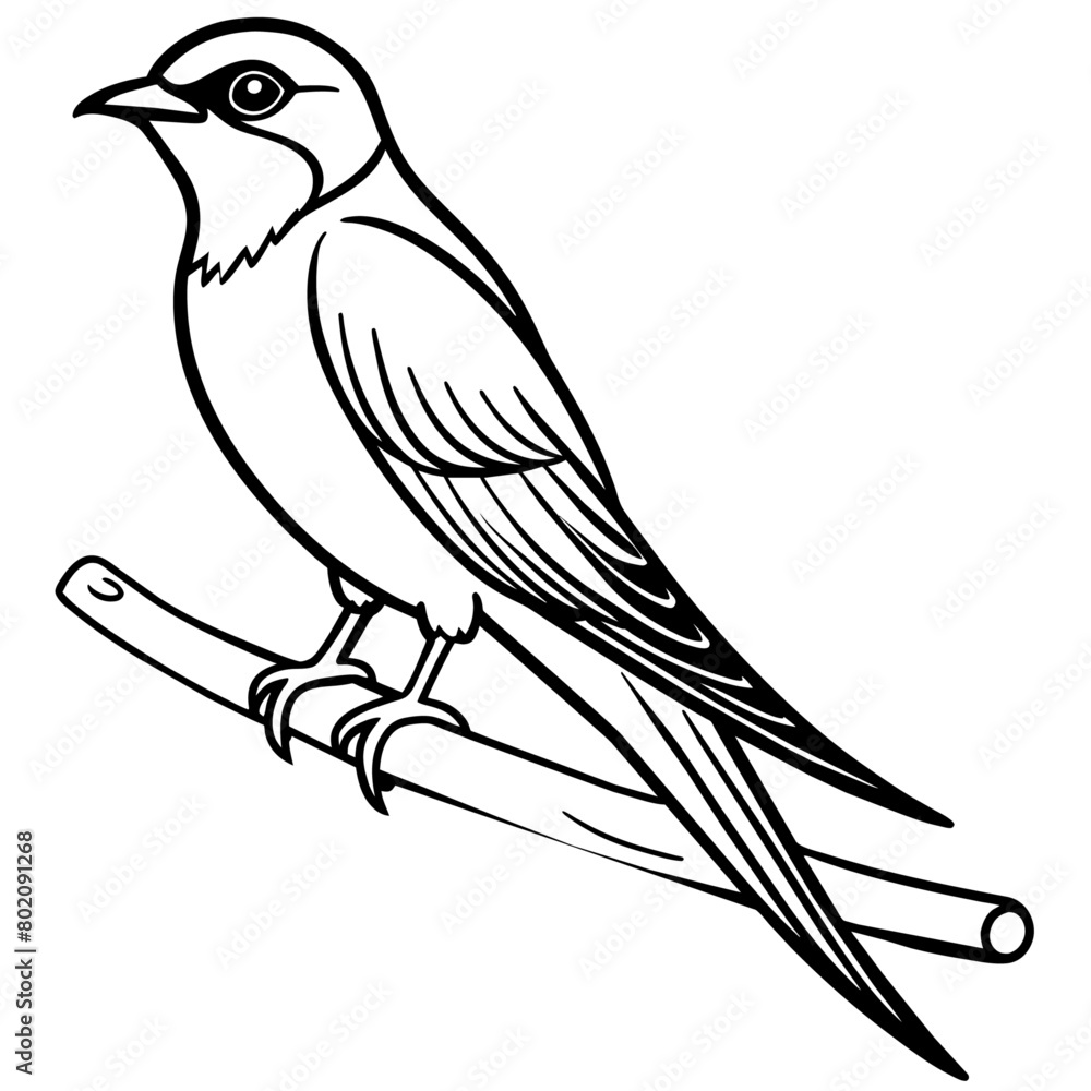 Obraz premium swallow bird coloring book page vector art illustration, solid white background (25)