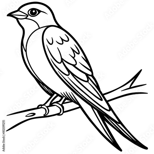 swallow bird coloring book page vector art illustration, solid white background (11)