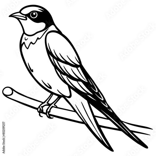 swallow bird coloring book page vector art illustration, solid white background (12) © Dream Is Power