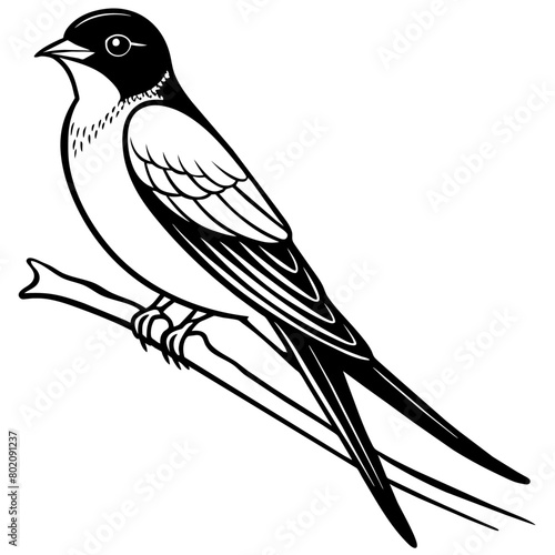 swallow bird coloring book page vector art illustration, solid white background (20)