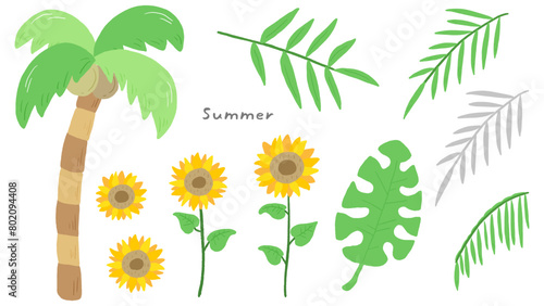 Summer plants, cute hand drawn illustration set, sunflower, palm tree, monstera / 夏の植物、かわいい手描きのイラストセット、ひまわり、ヤシの木、モンステラ